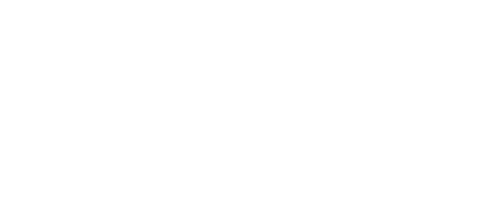AVIONFLY Logo