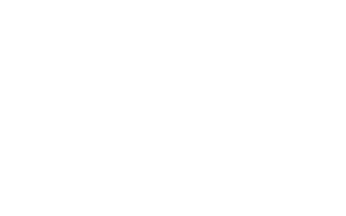 T-CZ Logo